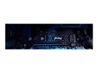 KINGSTON FURY Renegade 1000GB PCIe 4.0 NVMe M.2 SSD