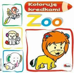 Zoo. Koloruję kredkami