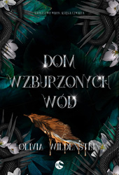 Dom wzburzonych wód. Królestwo Wron. Tom 4
