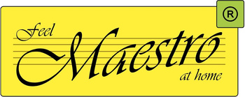 Blender ręczny MAESTRO MR-564