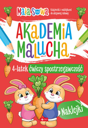 4 latek ćwiczy spostrzegawczość. Akademia malucha