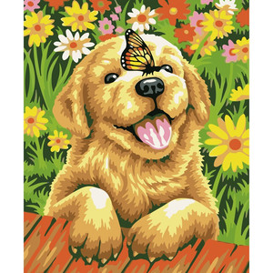 Malowanie po numerach podobrazie Piesek z motylem 40x50cm