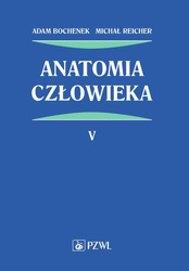 Anatomia człowieka T.5