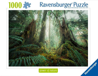 Puzzle 1000 Lasy