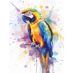 Malowanie po numerach Papuga 40x50cm