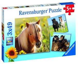 Puzzle 3x49 Konie