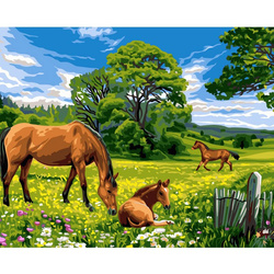 Malowanie po numerach Konie na łące 40x50cm