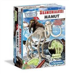 Skamieniałości Mamut 50859