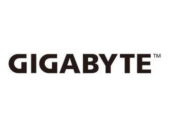 GIGABYTE GP-P650G 650W 80 PLUS BR