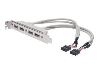 DIGITUS AK-300304-002-E Kabel na śledziu USB 2.0 HighSpeed Typ 2xIDC (5pin)/4xUSB A M/Ż szary 0,25m