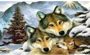 Diamentowa mozaika wilki rodzinka  zimą NO-1005263