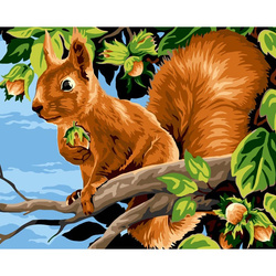 Malowanie po numerach Wiewiórka z orzechami 40x50cm