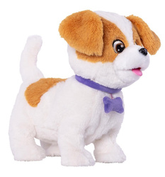 Pies interaktywny Dexter