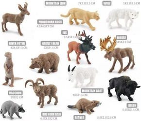Zestaw dzikich zwierząt ameryki północnej