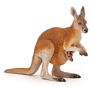 Kangurzyca z młodym