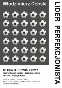 Lider perfekcjonista