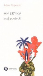 Ameryka. Esej poetycki