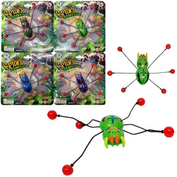 Pająk schodzący po szybie MIX