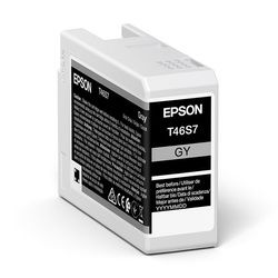 Epson oryginalny ink / tusz C13T46S700, gray