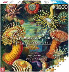 Good Loot Puzzle: Ernst Haeckel - Sea Anemones