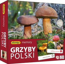 Gra memory Grzyby Polski