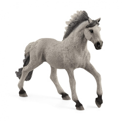 Koń Mustang ogier rasy Sorraia SLH13915