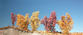 MiniNatur: Filigranowy krzew późnojesienny (1:160) (1-2 szt)
