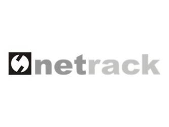 NETRACK ECO-Line Rack 19inch 4U/450mm - gray glass door