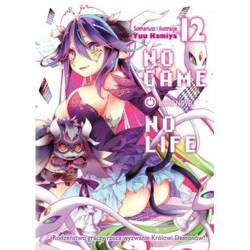 No Game No Life. Light Novel. Tom 12