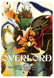 Overlord. Tom 13