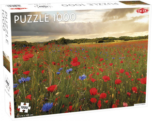 Puzzle 1000 Around the World Northern Stars Field of Flowers