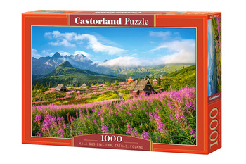 Puzzle 1000 Tatry Hala Gąsienicowa C-104512