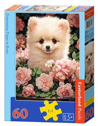 Puzzle 60 Pomeranian Puppy in Roses B-066261