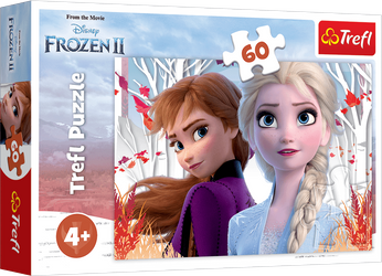 Puzzle 60 Zaczarowany świat Anny i Elsy Frozen 2 17333