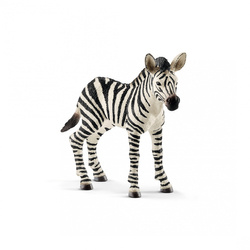 Zebra źrebię SLH14811